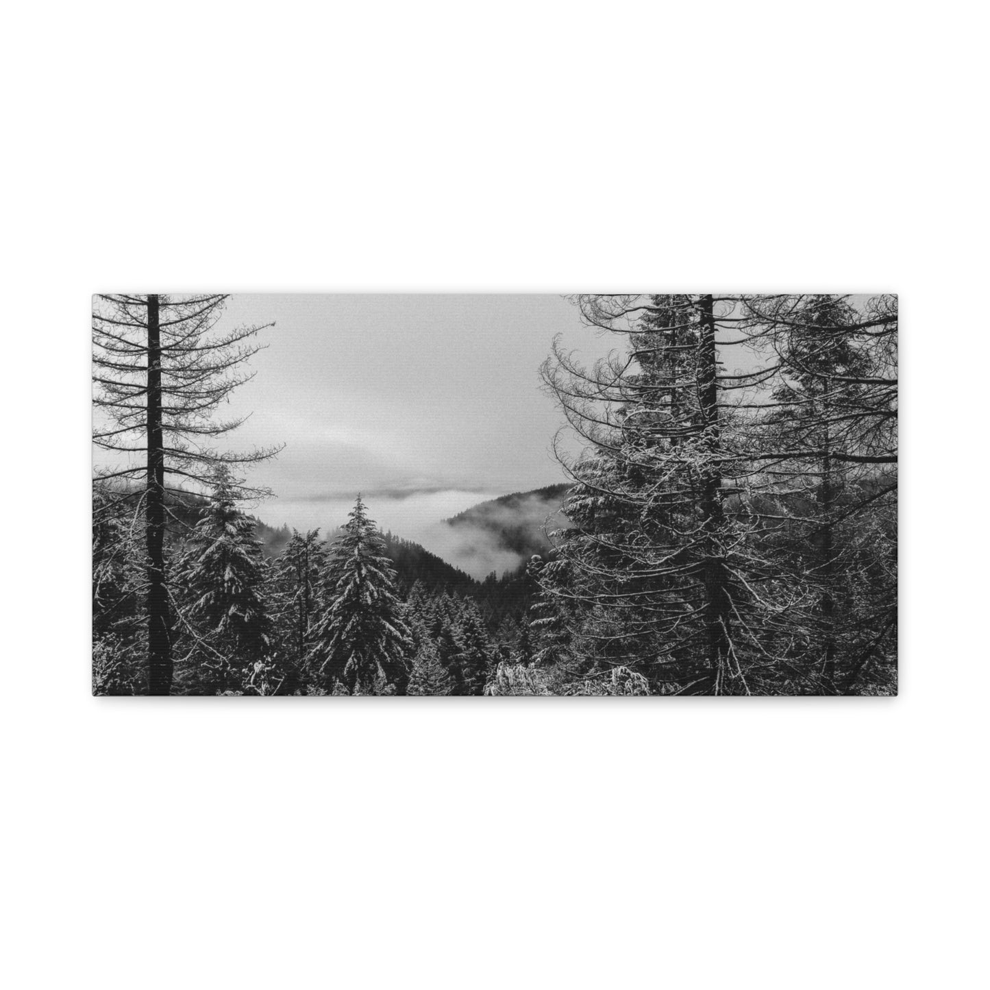 Matte Canvas, Stretched, 1.25"