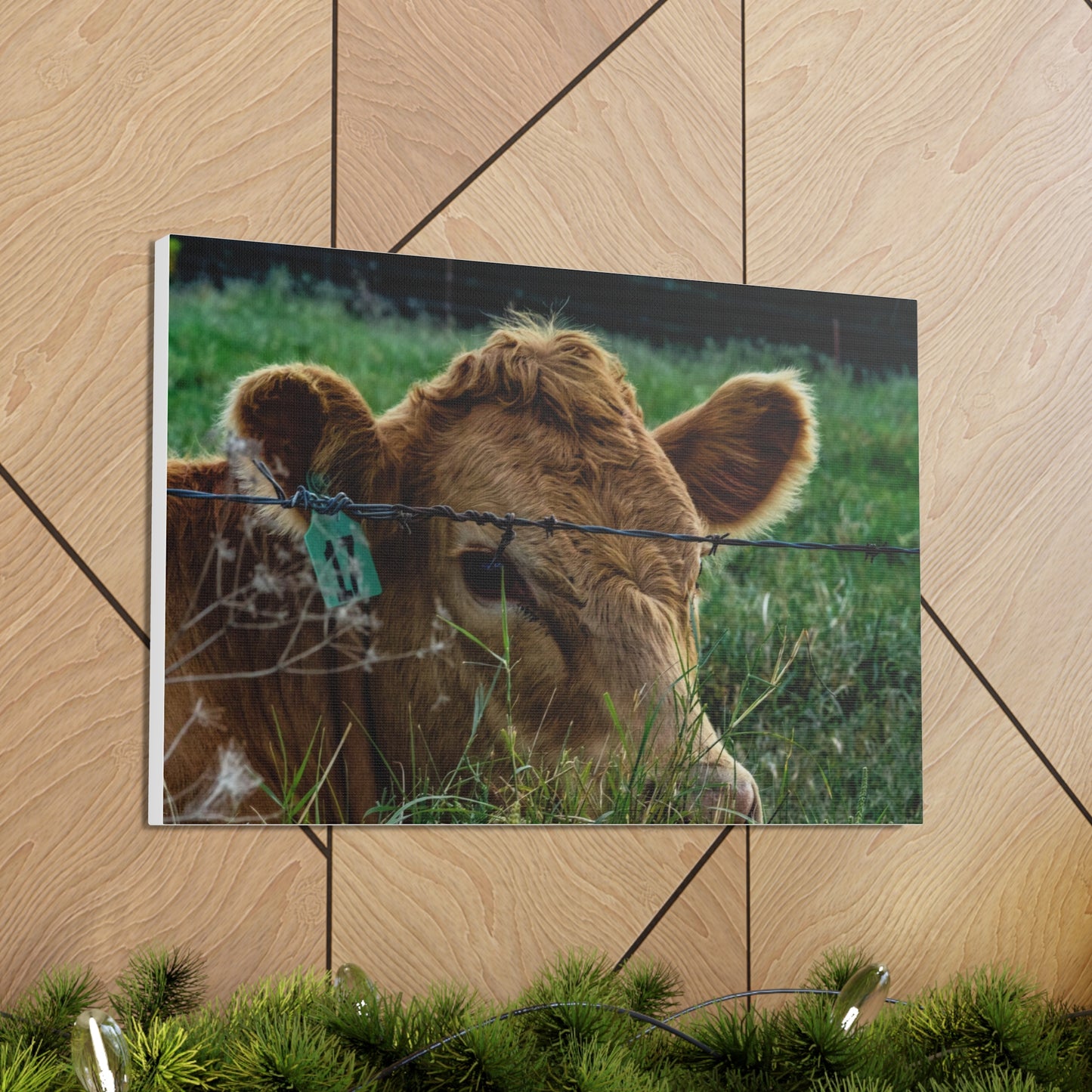 Northwest Arkansas Cow Canvas | Cambrian Captures