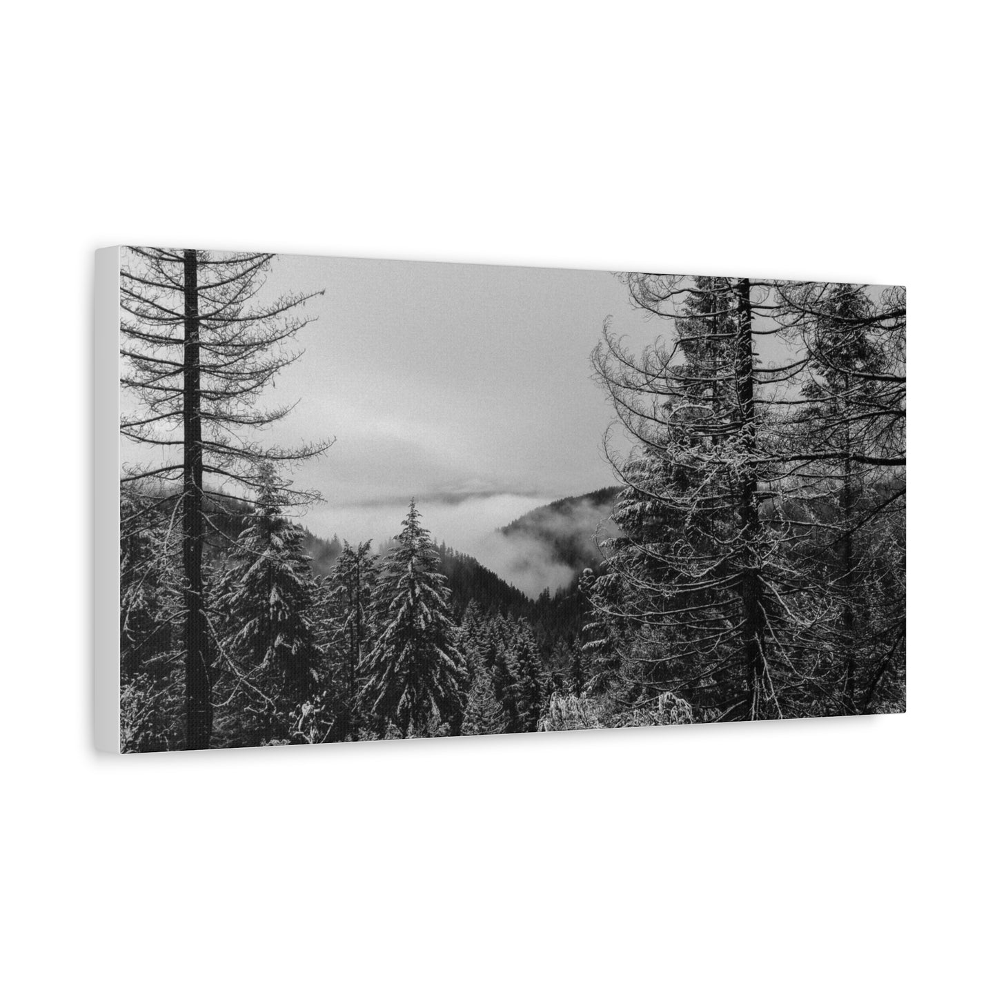 Matte Canvas, Stretched, 1.25"