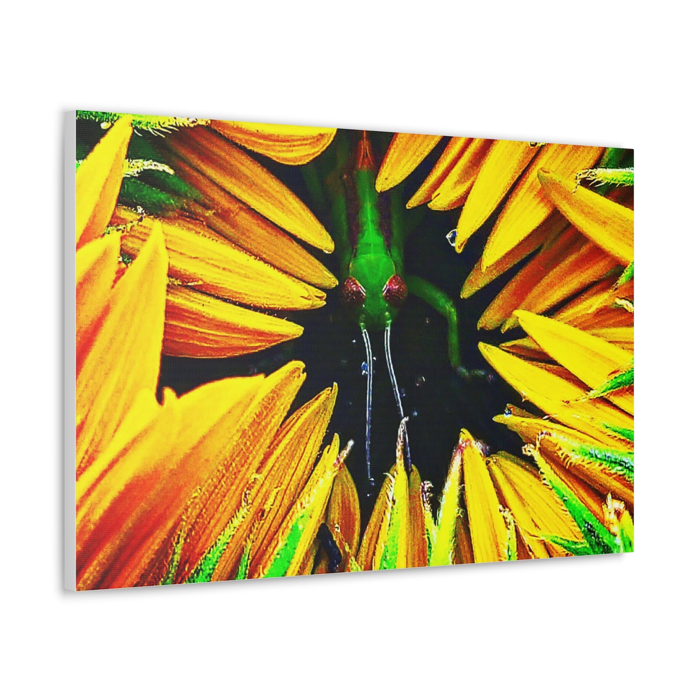 Sunflower Farm Grasshopper Canvas | Cambrian Captures