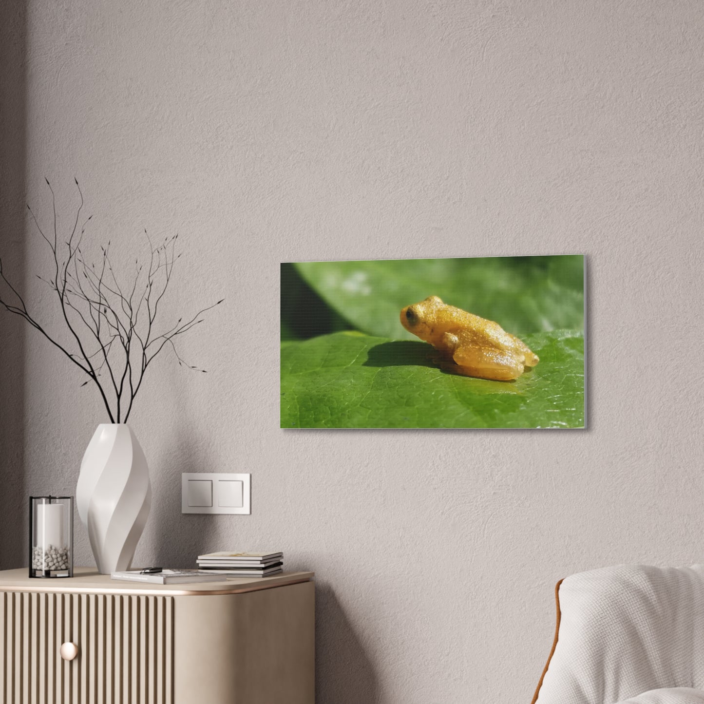Jewel Frog Canvas | Cambrian Captures