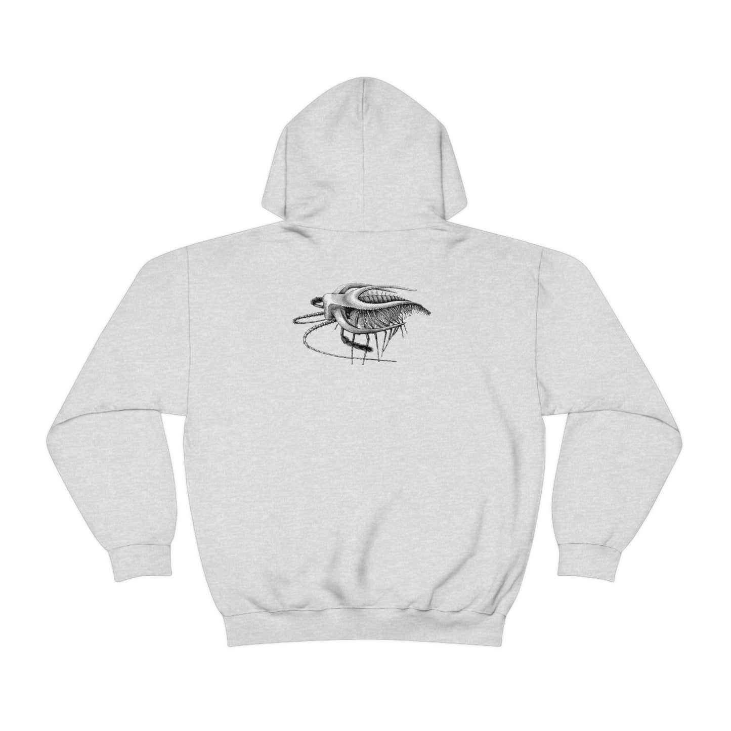 Unisex Heavy Blend™ Hooded Sweatshirt